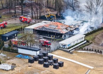 Pożar na podpłockiej plaży [ZDJĘCIA]