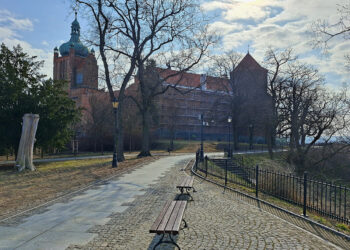Remont najcenniejszego płockiego zabytku