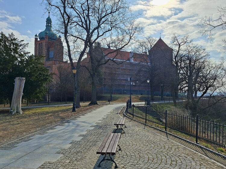 fot. Wiktor Pleczyński