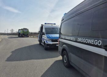 Jeden kierowca, jedna kontrola i… 14 mandatów