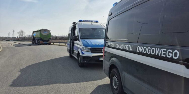 Jeden kierowca, jedna kontrola i… 14 mandatów