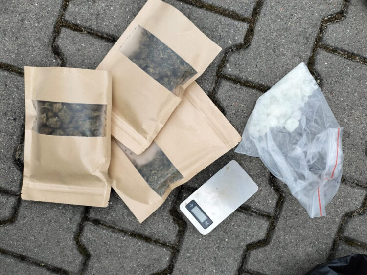 fot. KMP w Płocku