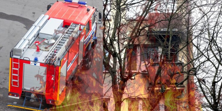 Pożar mieszkania w Płocku. Ewakuowano pięć osób