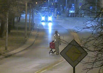 Rajd wózkiem sklepowym po ulicy w centrum Płocka