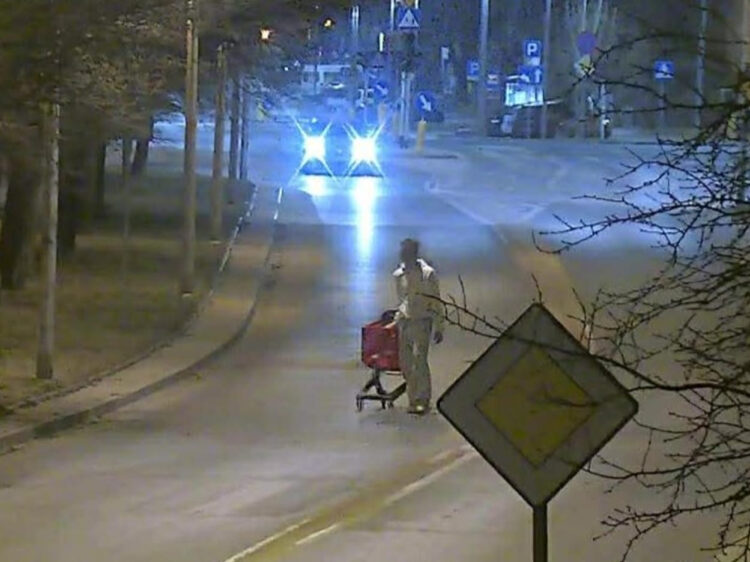 fot. Straż Miejska w Płocku