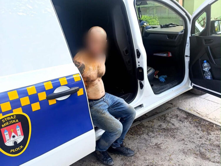 fot. Straż Miejska w Płocku