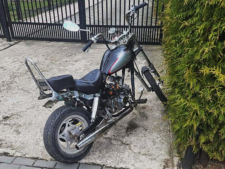 fot. Straż Miejska w Płocku