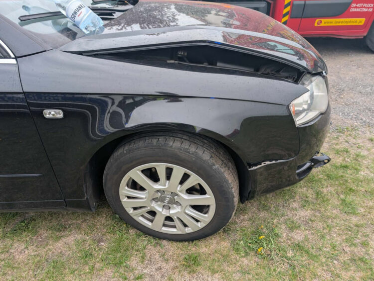 fot. KMP w Płocku