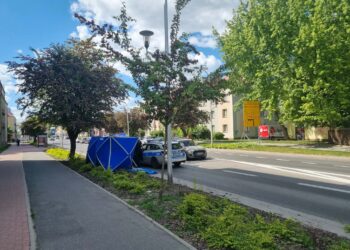 Akcja służb w Płocku. Mężczyzny nie udało się uratować
