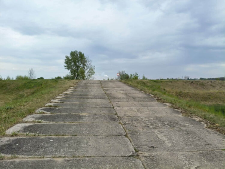 fot. KMP w Płocku