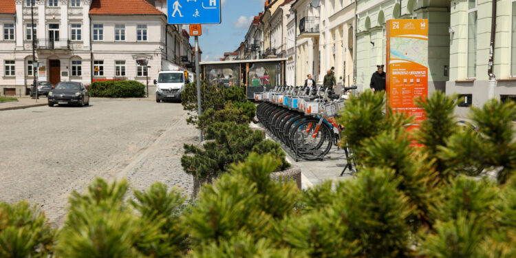 Więcej zieleni na płockiej starówce