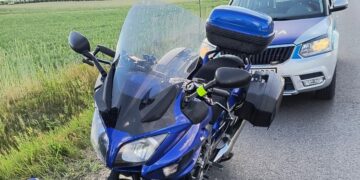 Kolejne zderzenie ze zwierzęciem. Ranny motocyklista
