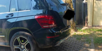 Czworonogi w piekielnej pułapce