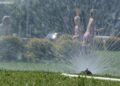 Kurtyny wodne, ale nie tylko. Miasto gotowe na ekstremalne temperatury