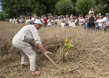 Wiecie, jak wyglądały kiedyś żniwa? Można sprawdzić w sierpeckim skansenie