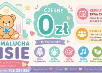 Drugi dom dla Twojego Maluszka. W Płocku otworzył się wyjątkowy Klub „Misie”